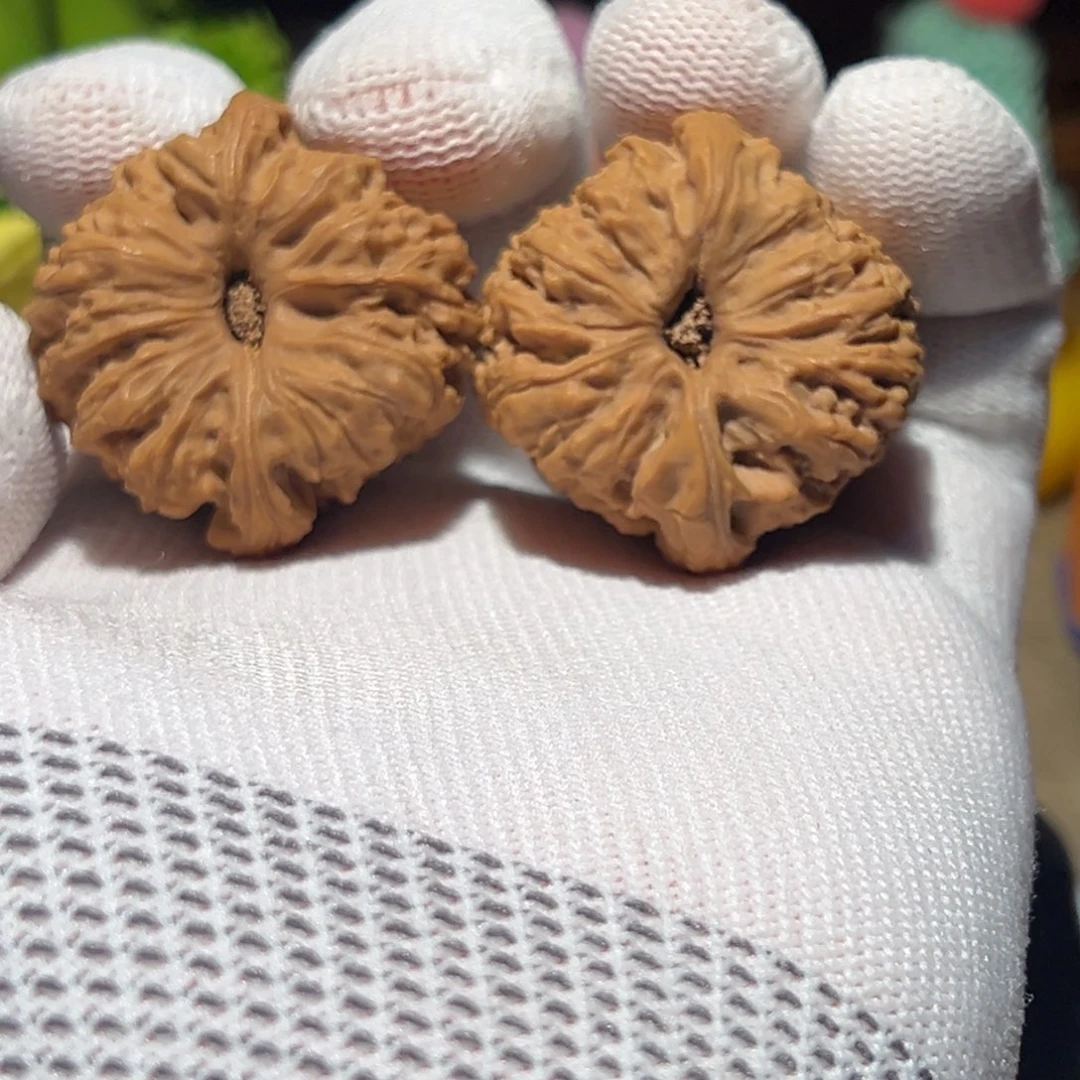 且***猫文玩核桃吊坠37涿鹿