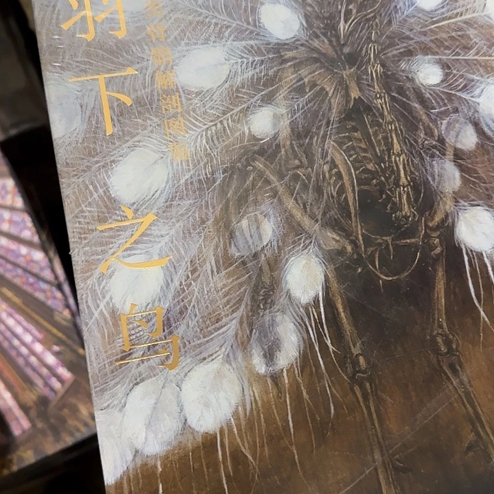 微瑕超厚羽下之鸟