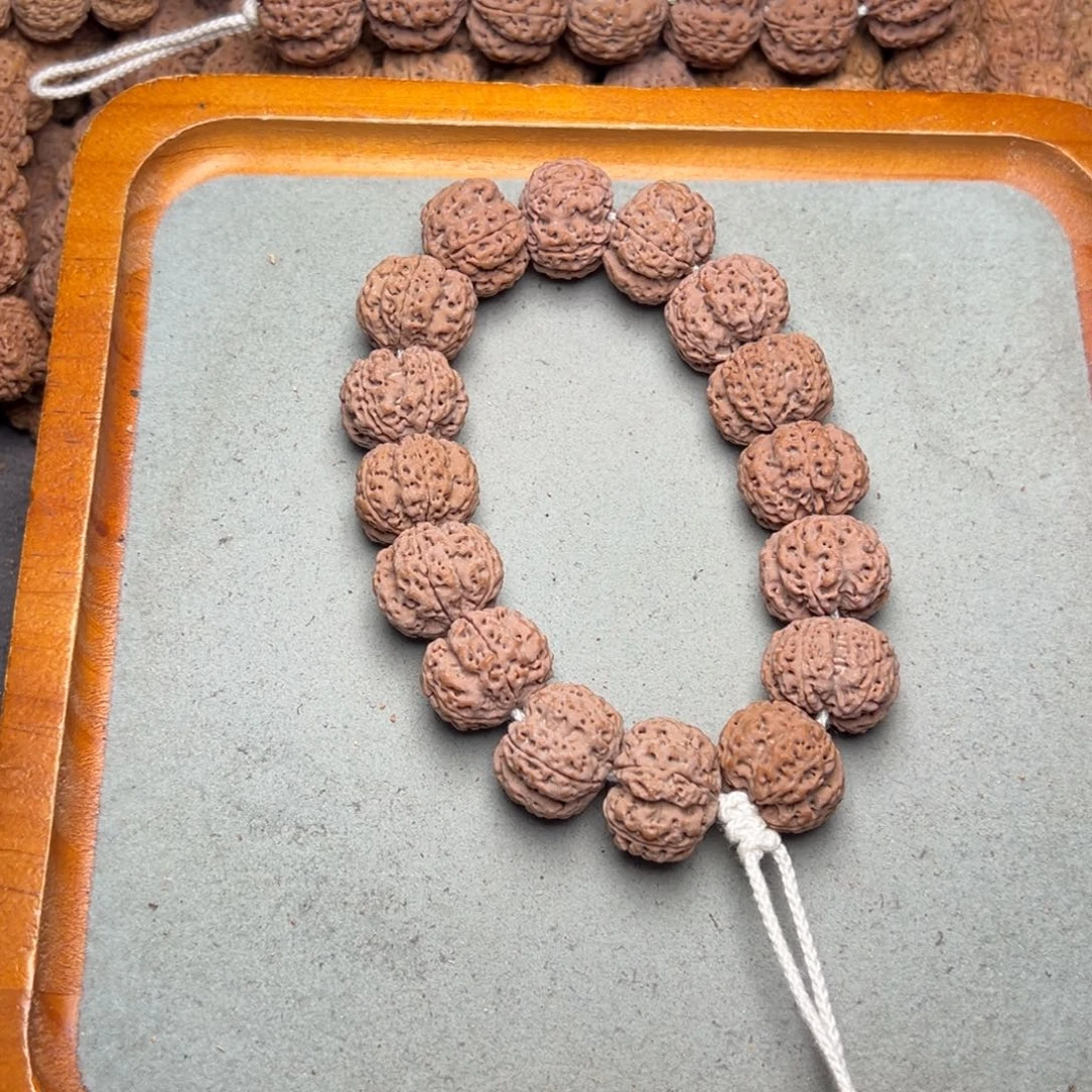 菩提24号金刚菩提龙骨梅花22