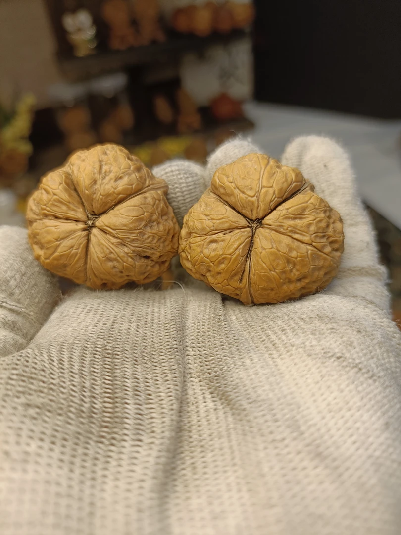 野生云南铁核桃 蟒纹三棱37