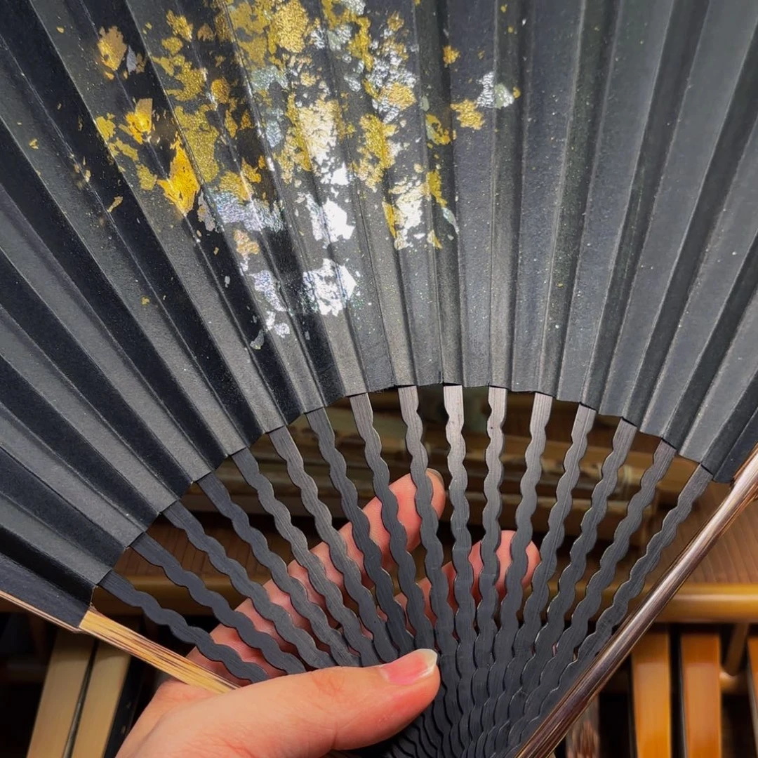 扇子爆炸金龙鳞棕竹