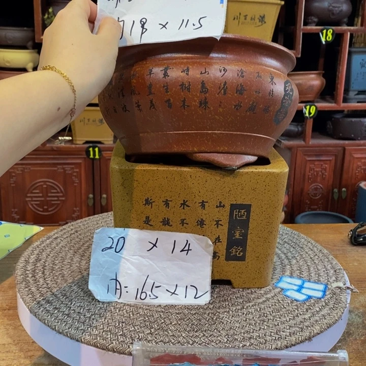 紫砂花盆紫砂花盆