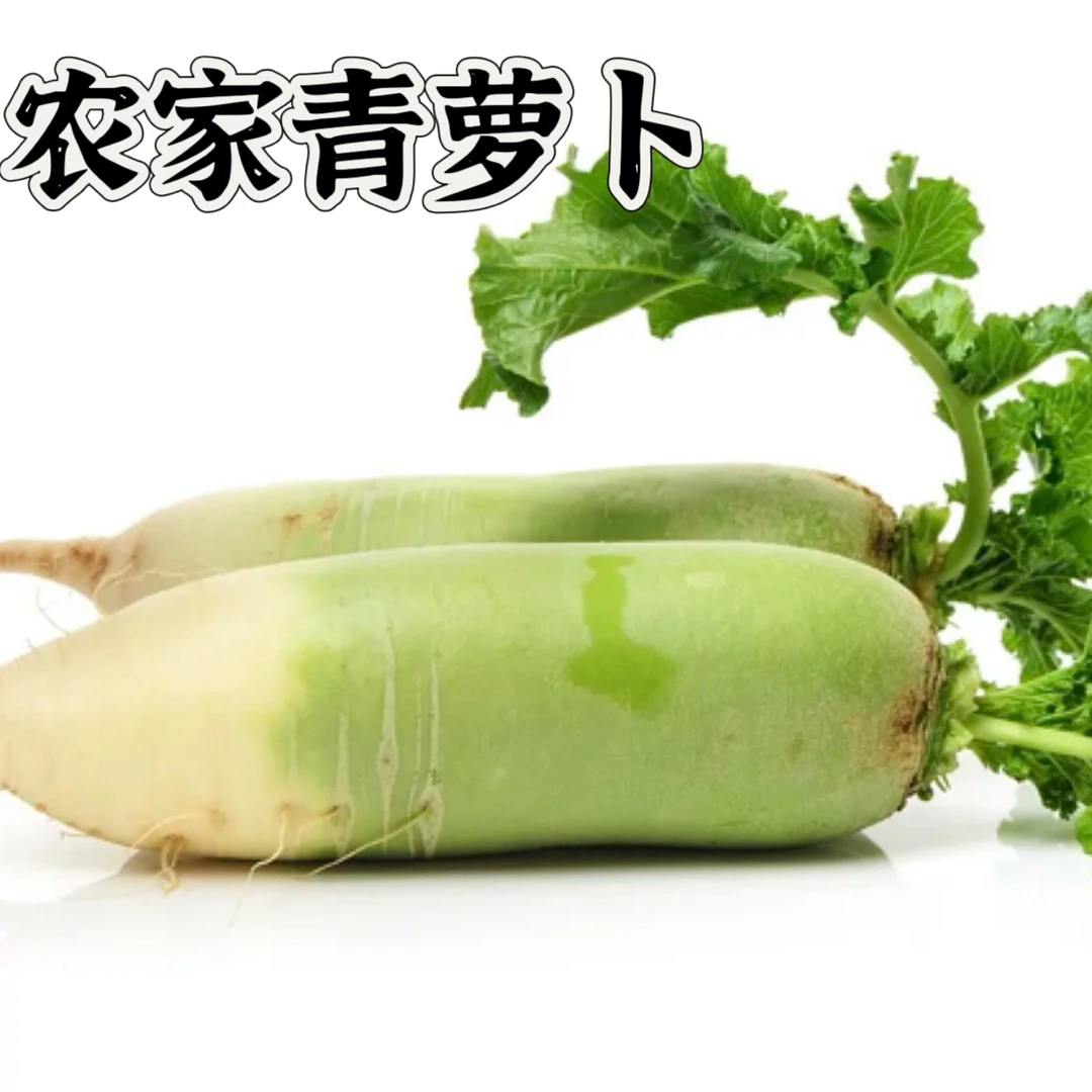 【淅礼·助农】新鲜青萝卜农家种植凉拌炒菜生吃