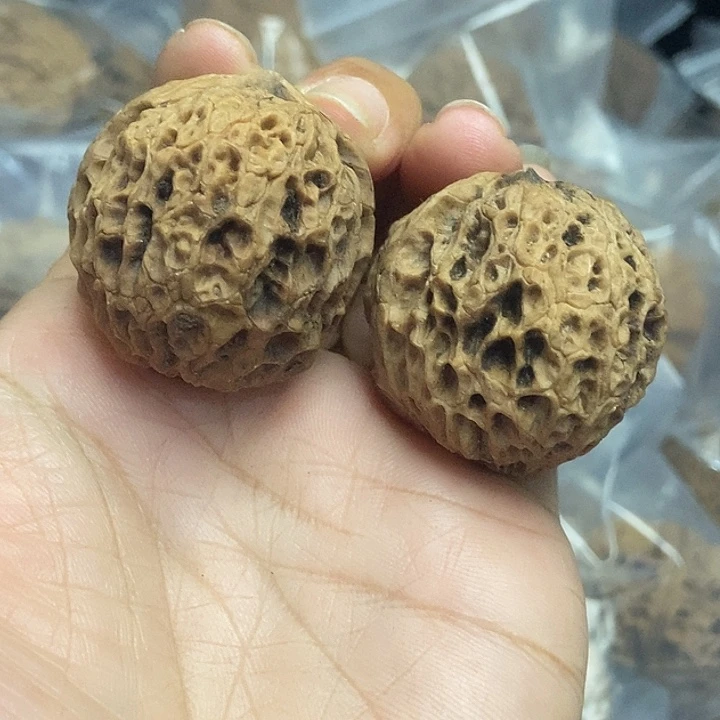 木质类云南铁核桃+9