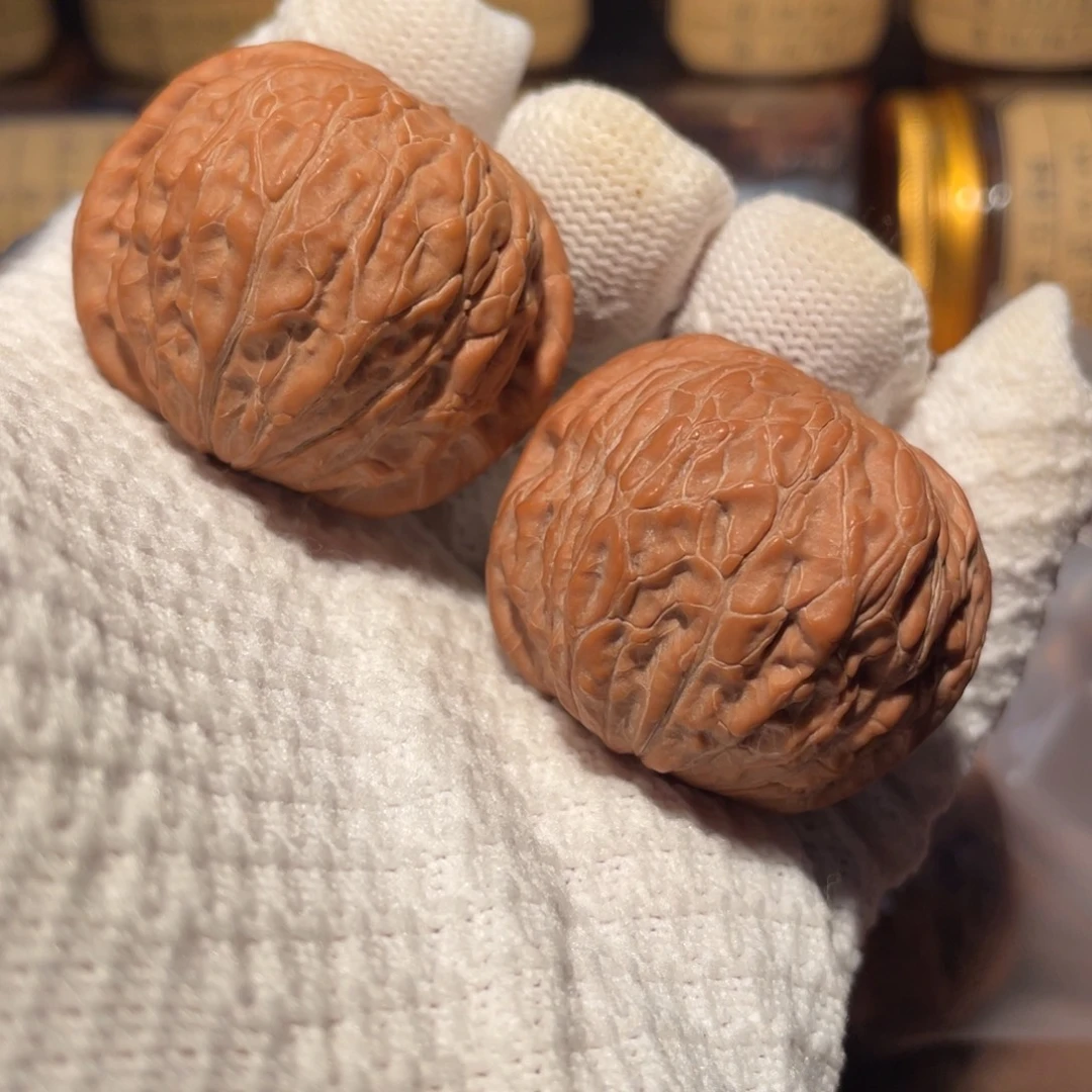 核桃41铁锤cccccc