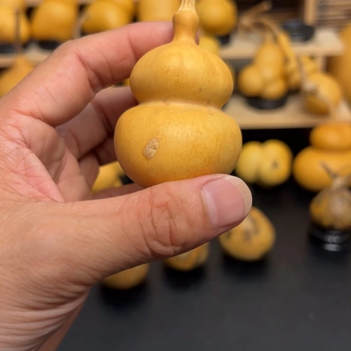 诺**55555555565555566