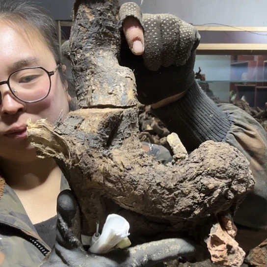 香榧木米*鼠火琉璃的毛料摆件