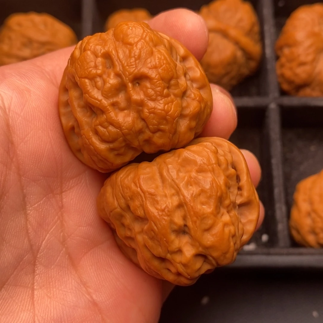 把件文玩核桃秦岭野生植物资源