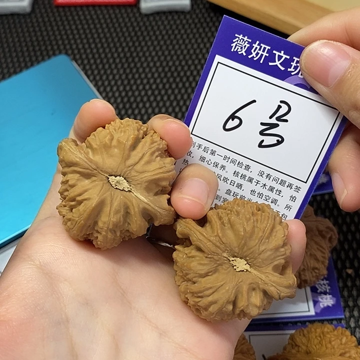 久***ꪝ木质类6号白狮子43
