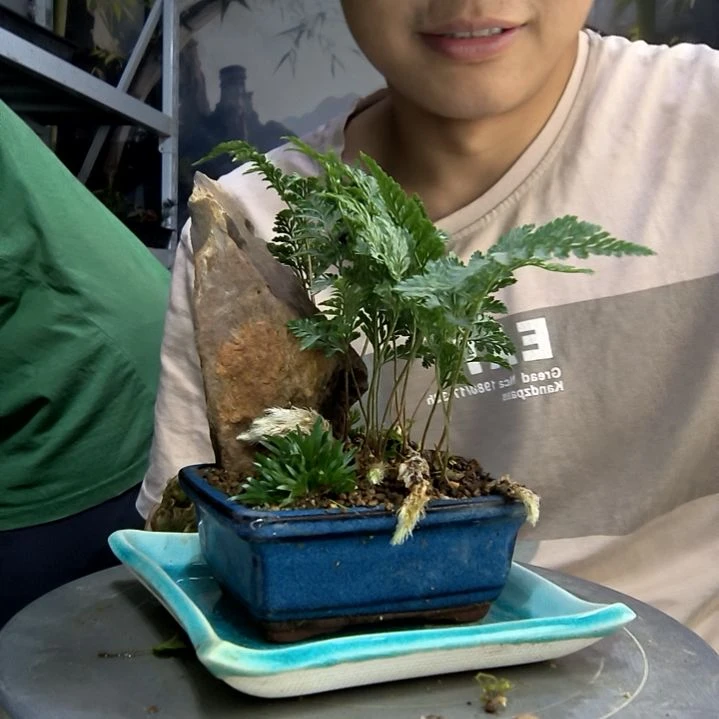 息*川中青园艺一物一拍108