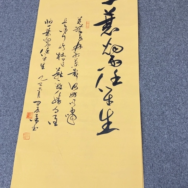 书法苏轼定风波草书