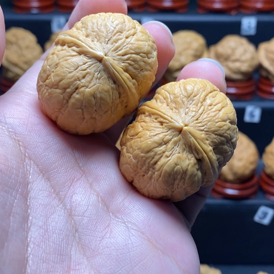 把件文玩核桃金蟒