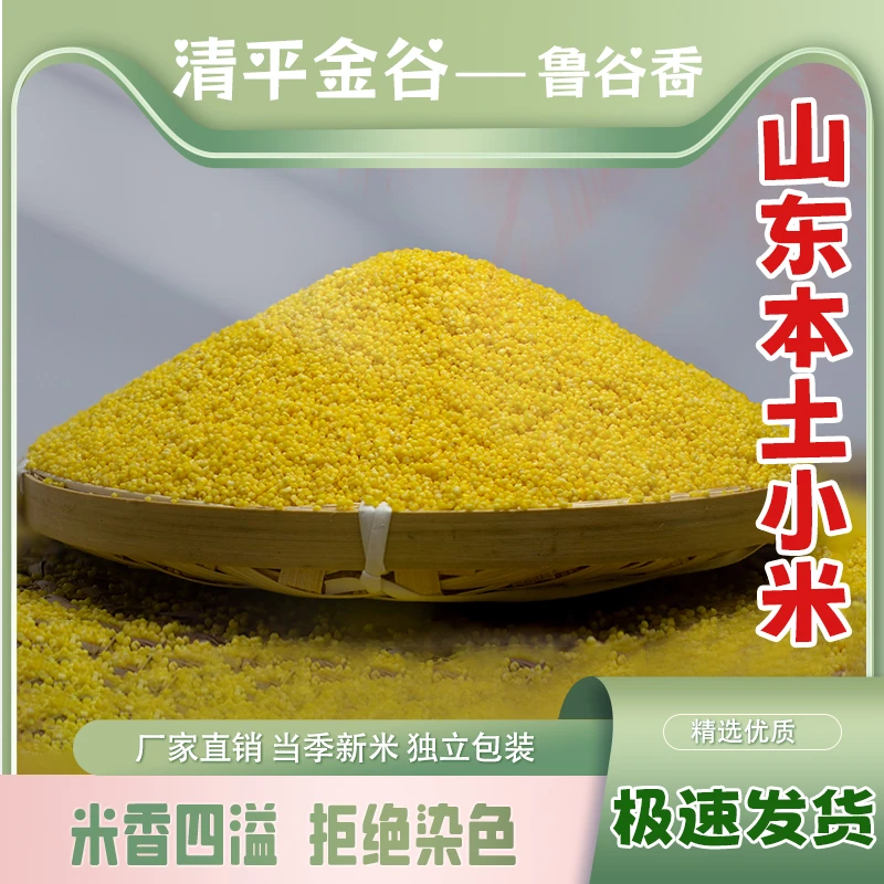 清平金谷山东清平小米石碾新米熬粥煮饭月子米优质正宗五谷杂粮