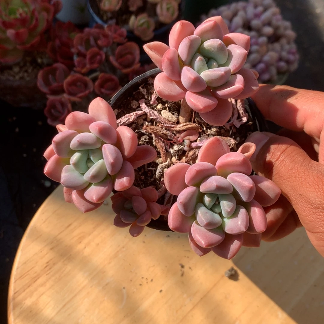 你不去上班呀吗还没有回家