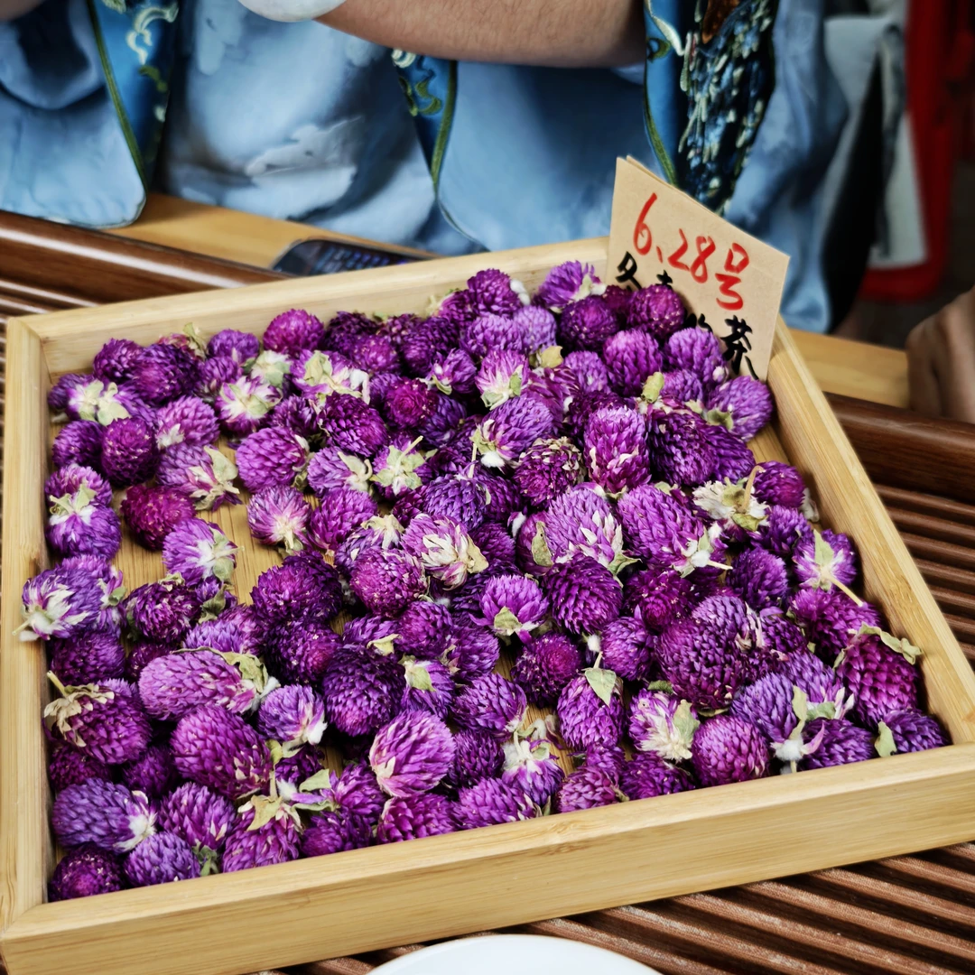 云南大理 高海拔紫巧梅  冬青收茶③