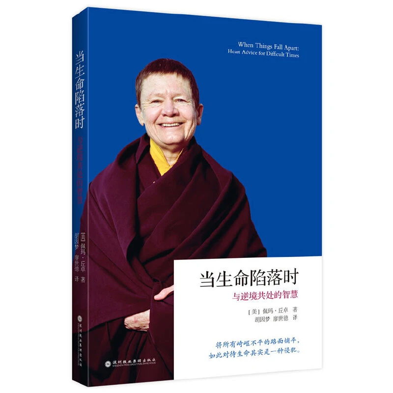当生命陷落时:与逆境共处的智慧 佩玛.丘卓 佛法 心灵开悟 书籍