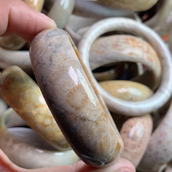 硅化珊瑚（珊瑚玉）颈饰未镶嵌名*