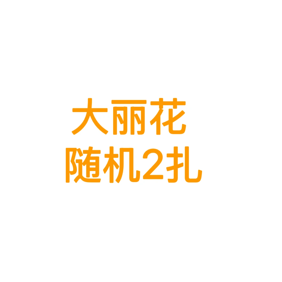 大丽花随机2扎 Officine美好花市基地直采鲜切花云南直发
