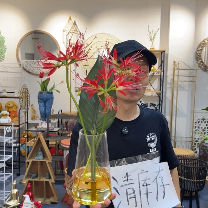 摆件哈哈哈哈哈哈哈哈