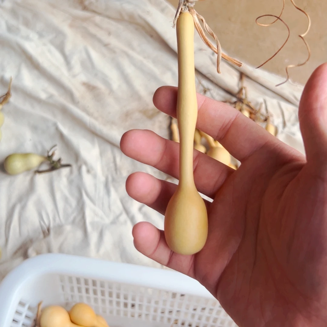 葫芦娃娃娃娃娃娃娃