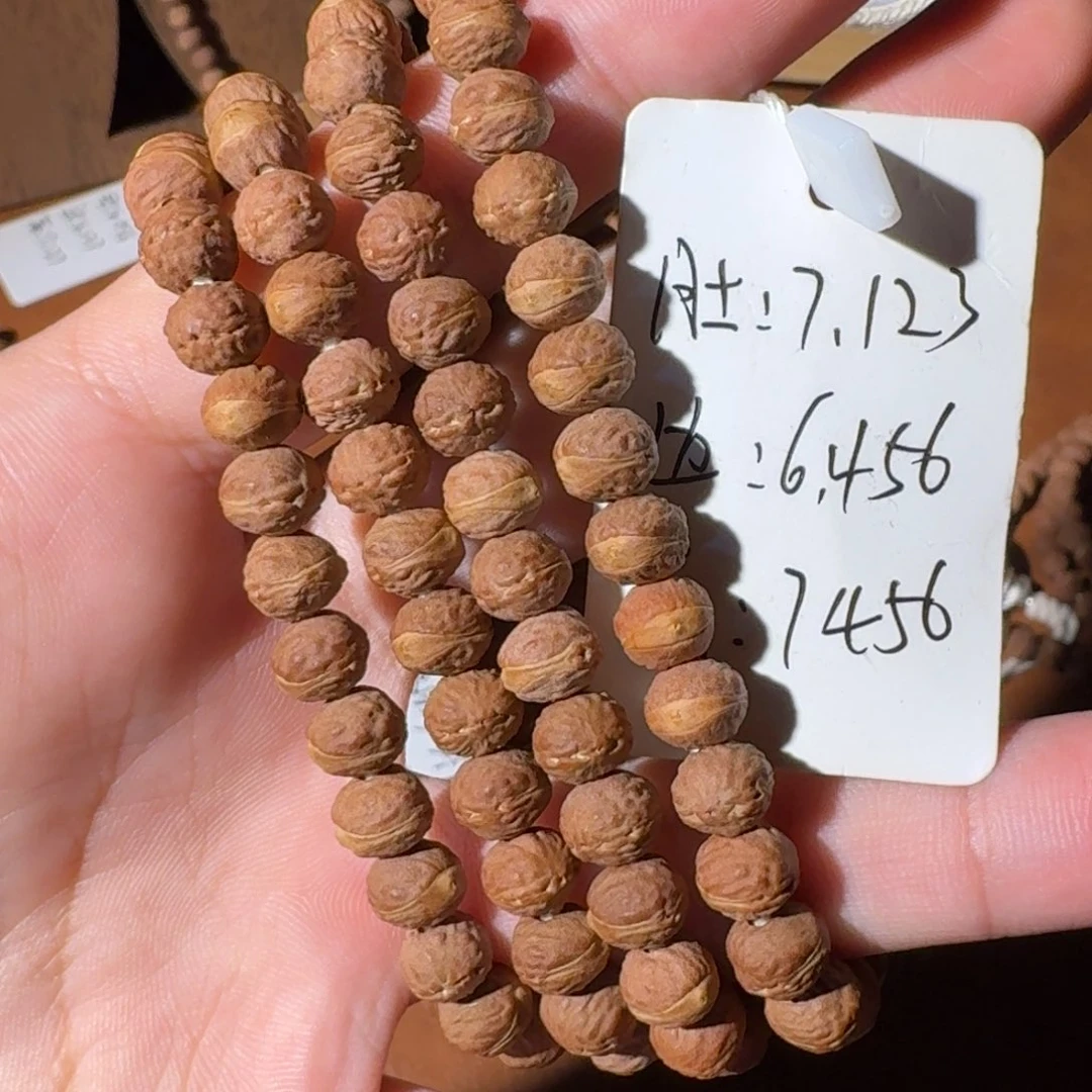 舌***菇扇子酸枣核凤眼菩提