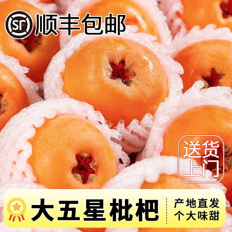 【顺丰包邮】正宗四川大五星枇杷新鲜水果大果当季甜琵琶