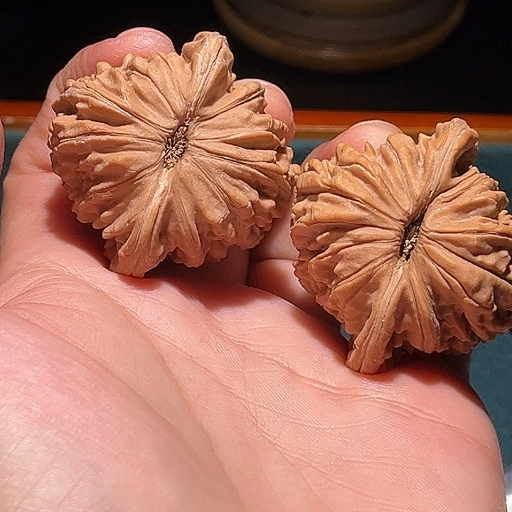 有***想文玩核桃把件41➕楼子