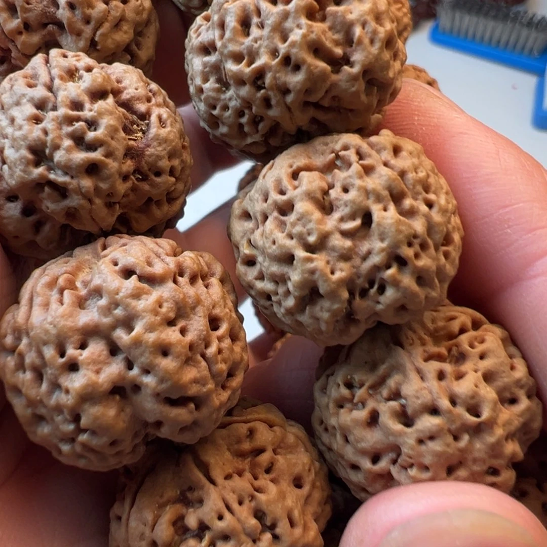 吊坠金刚菩提5瓣23飓肉蜂王