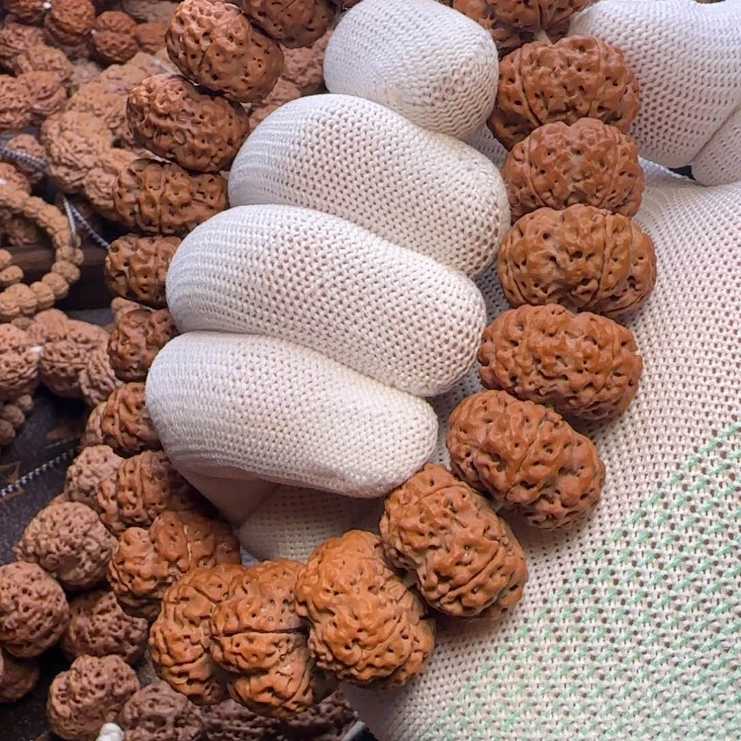 菩提金刚菩提21+夹板手持