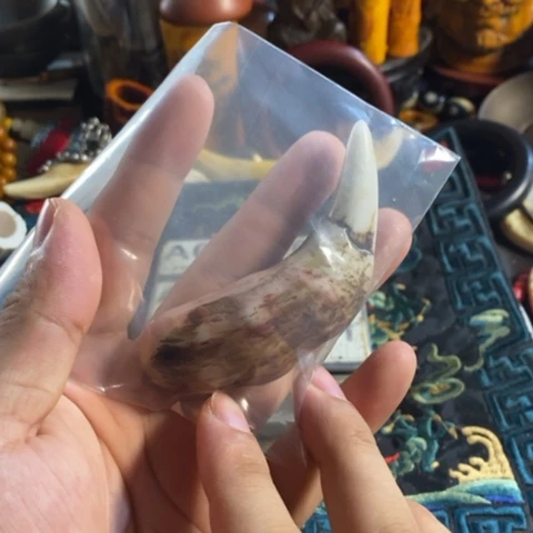 瓷片L****6寻呼台的人也太少见啦