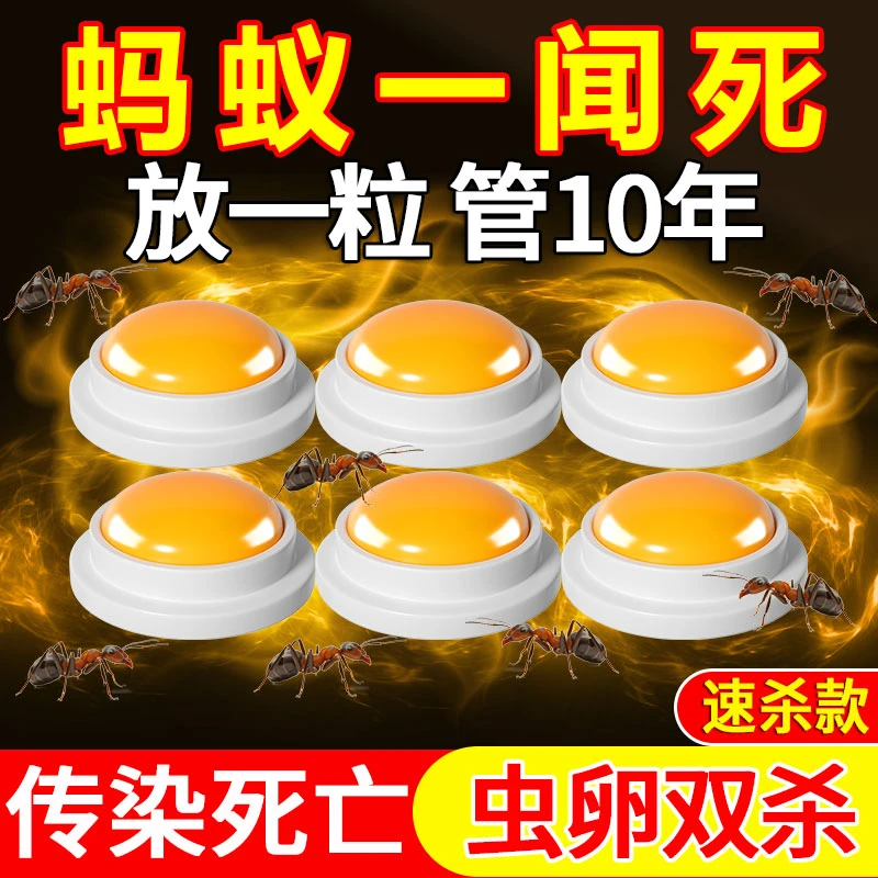 蚂蚁药蟑螂药一窝端家用非无毒强力呋虫胺杀蚁胶杀虫剂红黄蚁灭蚁