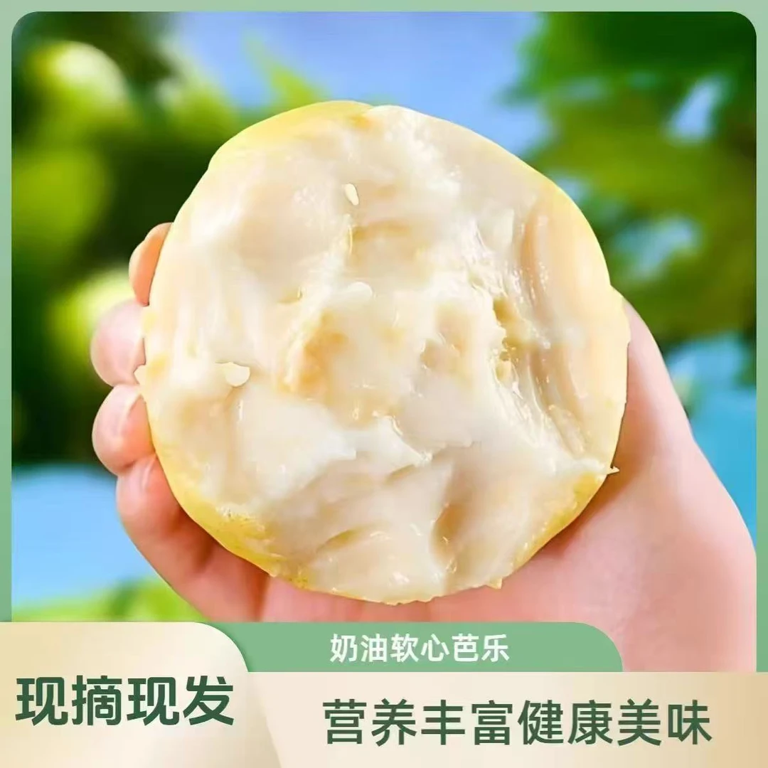 广西精品芭乐番石榴糯软香甜坏果包赔产地直发白心糯软香甜水果