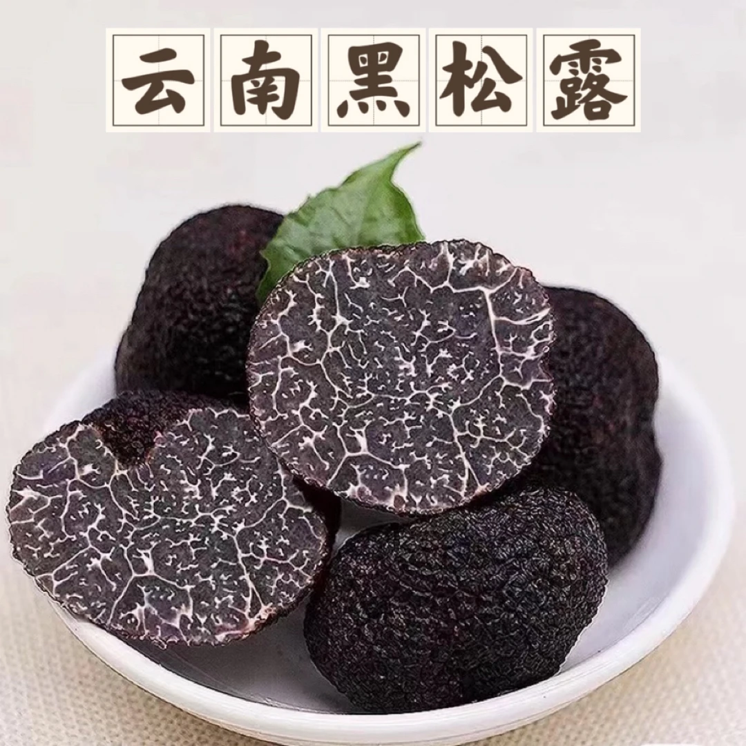 云南特产野生菌高黎贡山【黑松露】顺丰包邮