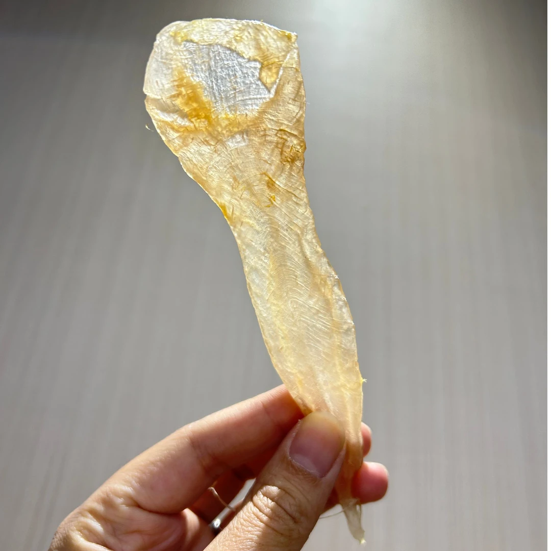 本港溪沃白花胶 五大名胶滋补养生 皮肤熨斗 厚肉不腥 广东汕头