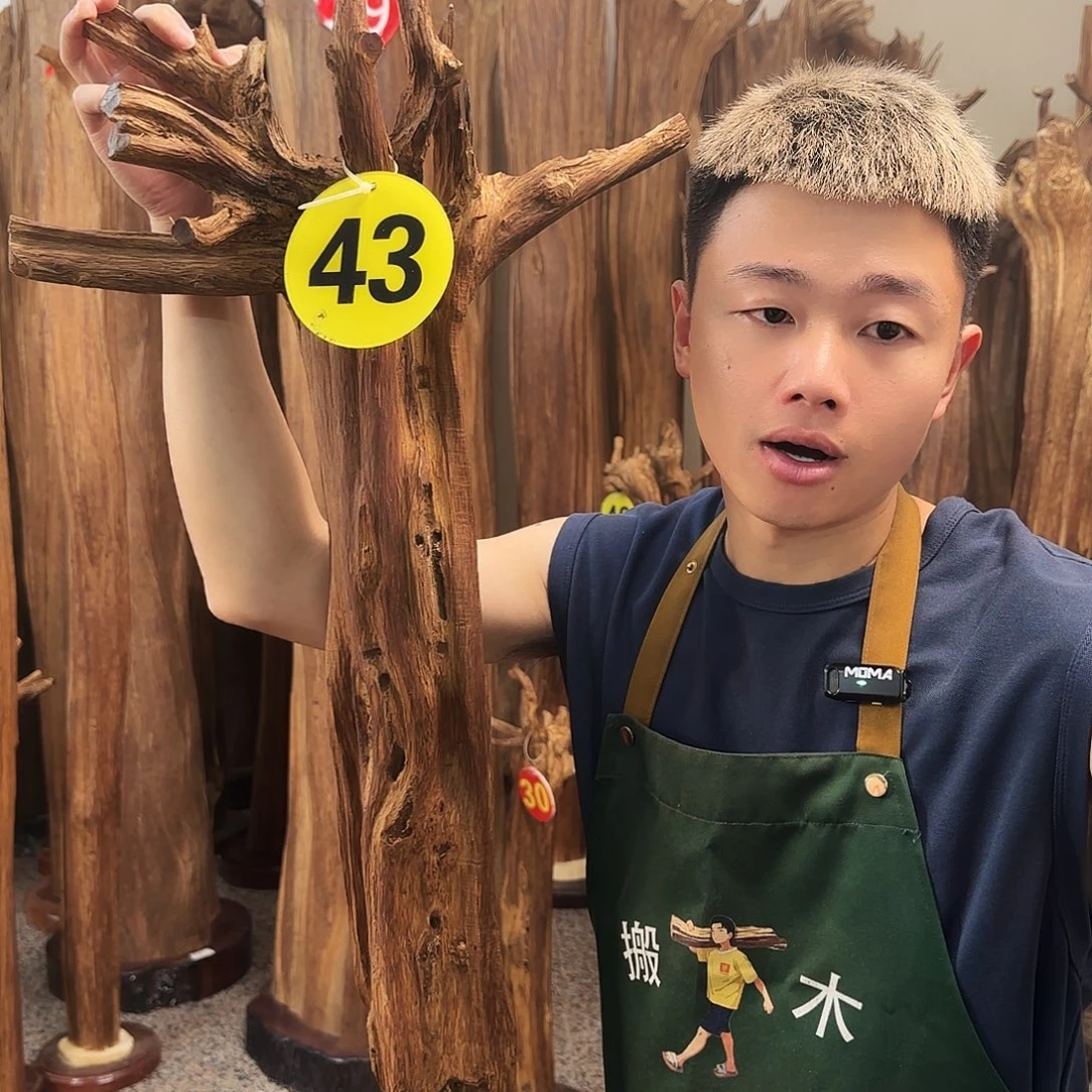 摆件沉香天然沉香原材料香料