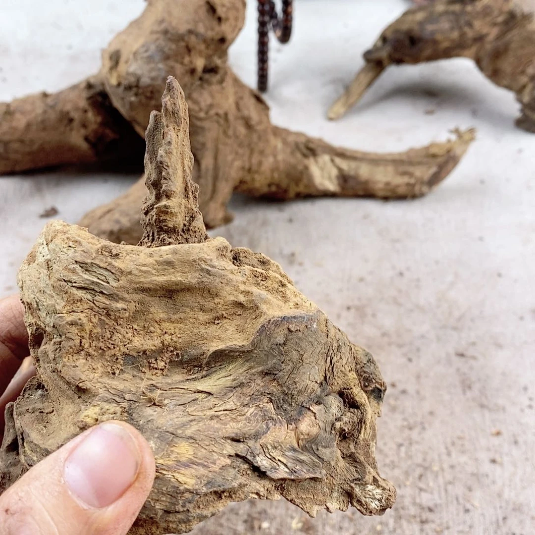 黄花梨/降香黄檀春**物