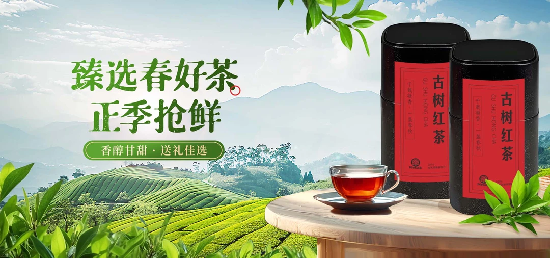 （阿妹专享新客尝鲜）龙胜古树红茶花果蜜香