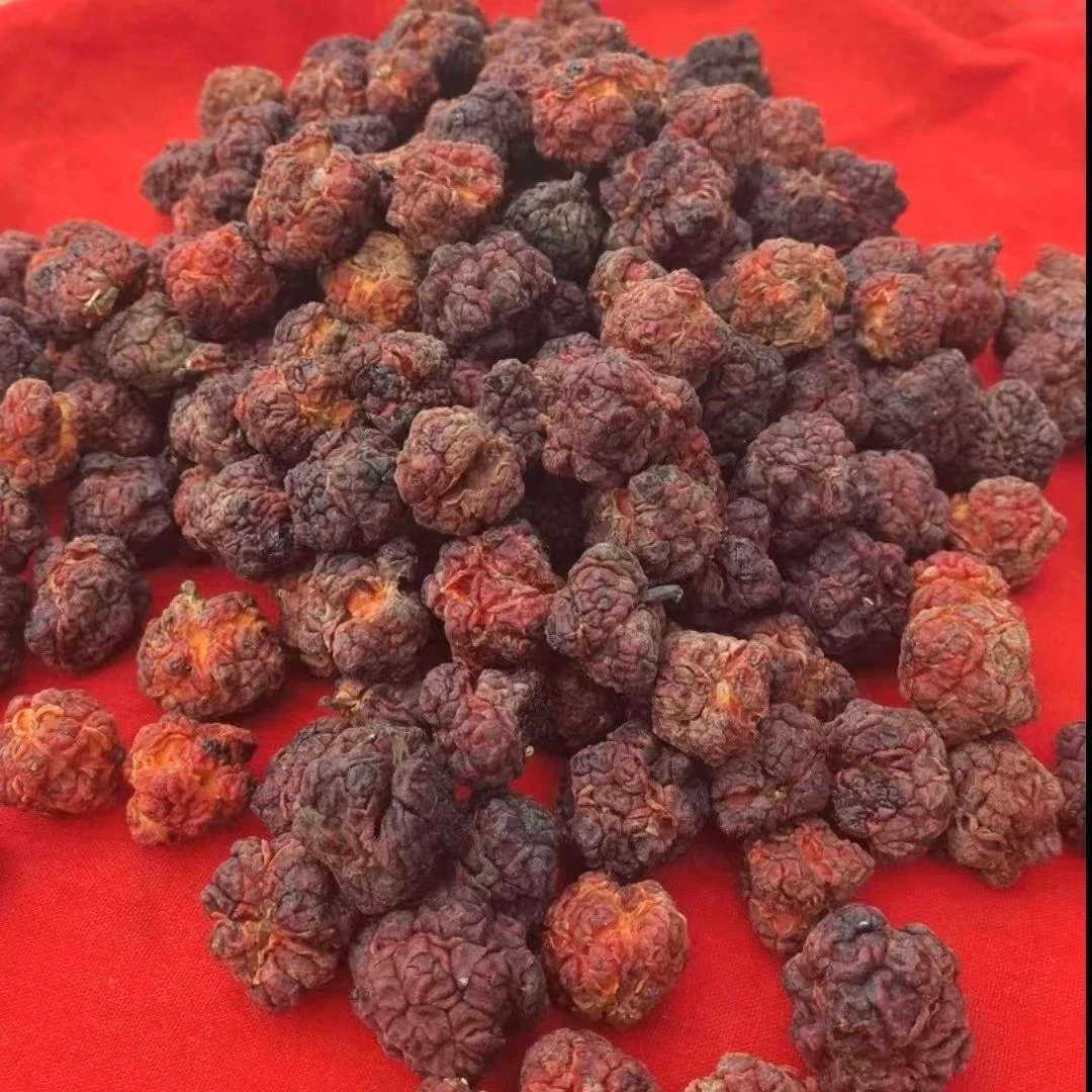 【帝王果】云大山采挖晒干足干