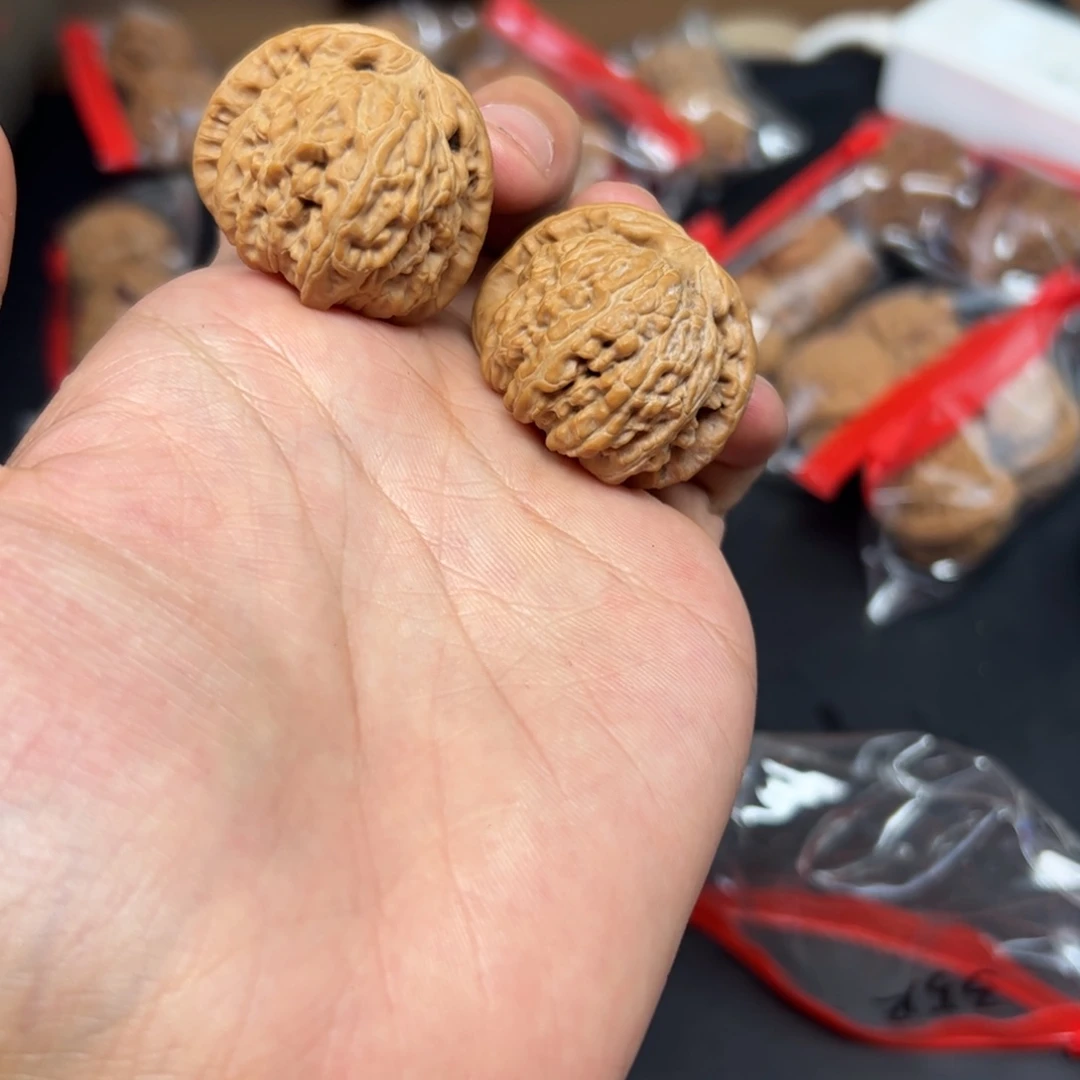 ****文玩核桃把件白狮子 微瑕 不退不换