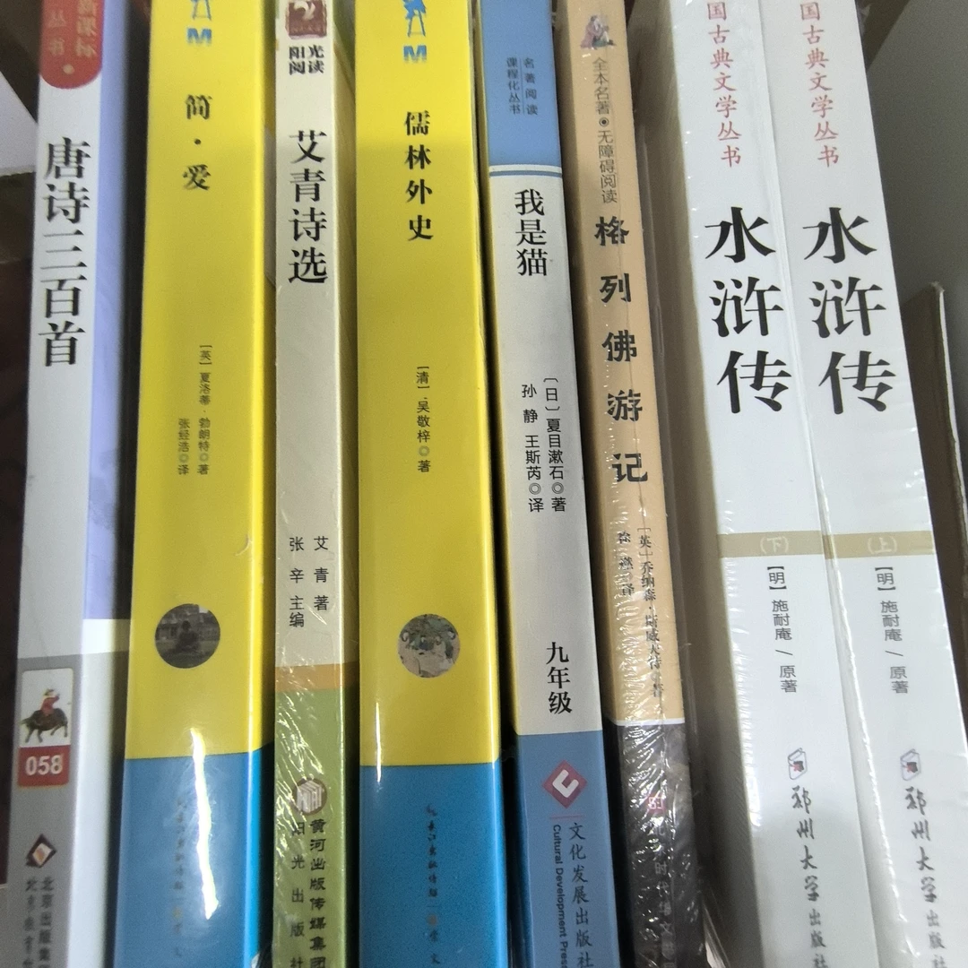 初中9年级必读书