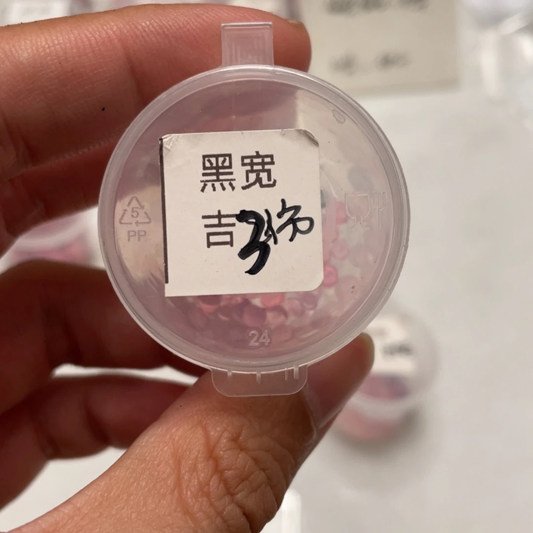 宽叶黑杂✖️吉娃娃20粒