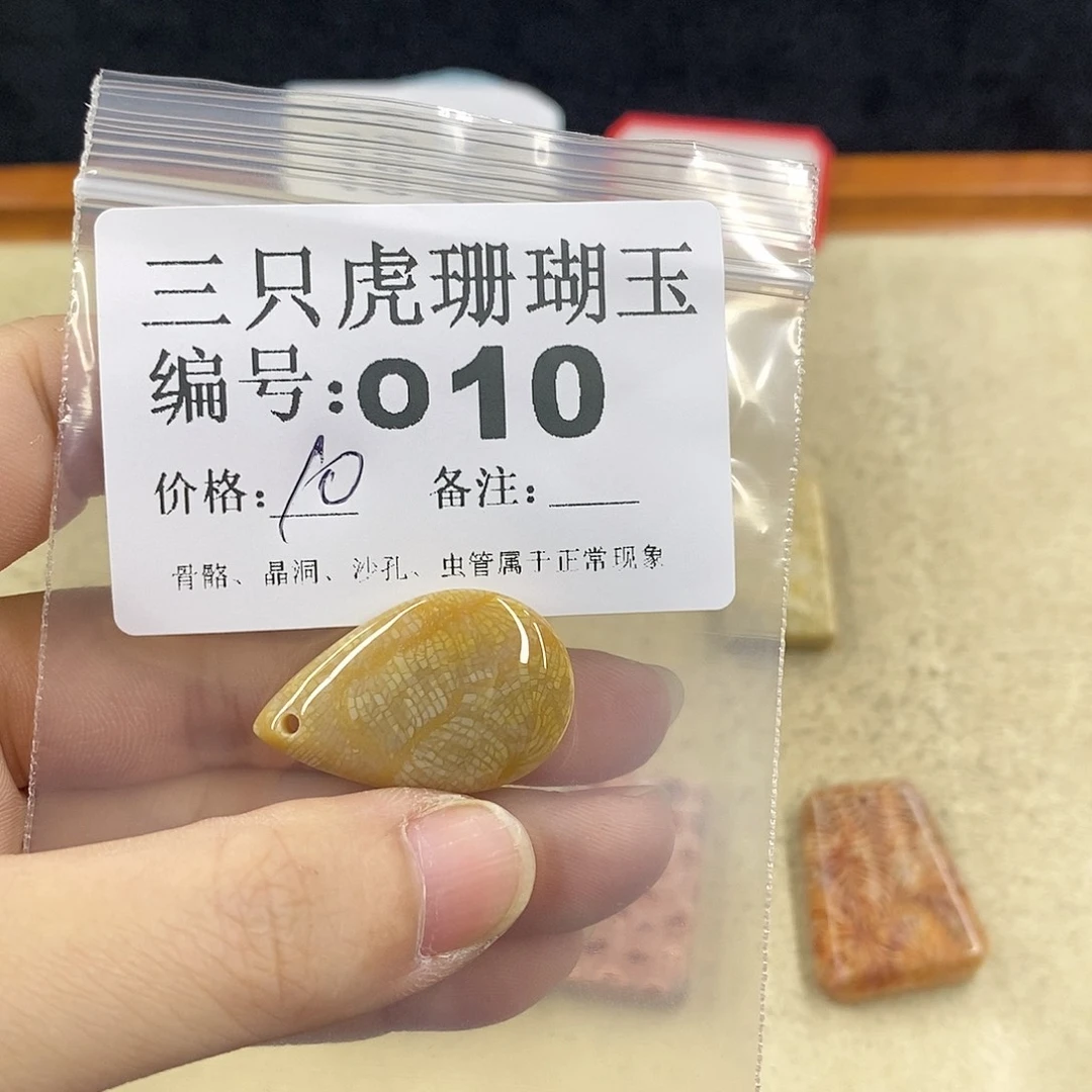 硅化珊瑚（珊瑚玉）1未镶嵌健**宁