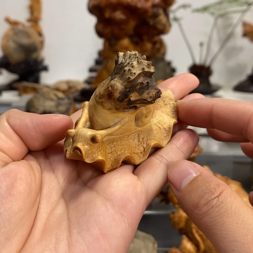 【闪购商品】柏木（崖柏）