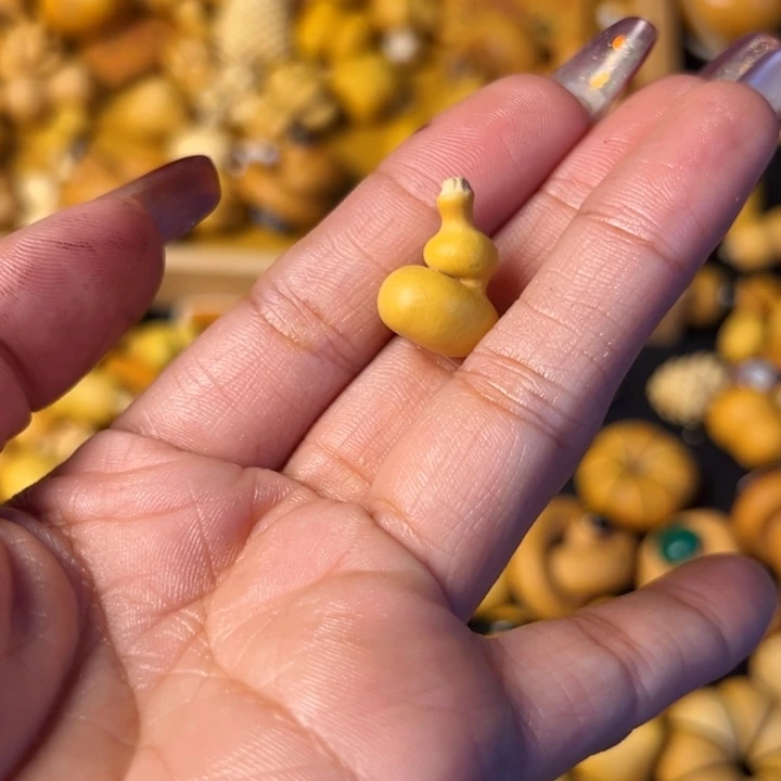 ?***草叶良辰……我会在这个地方