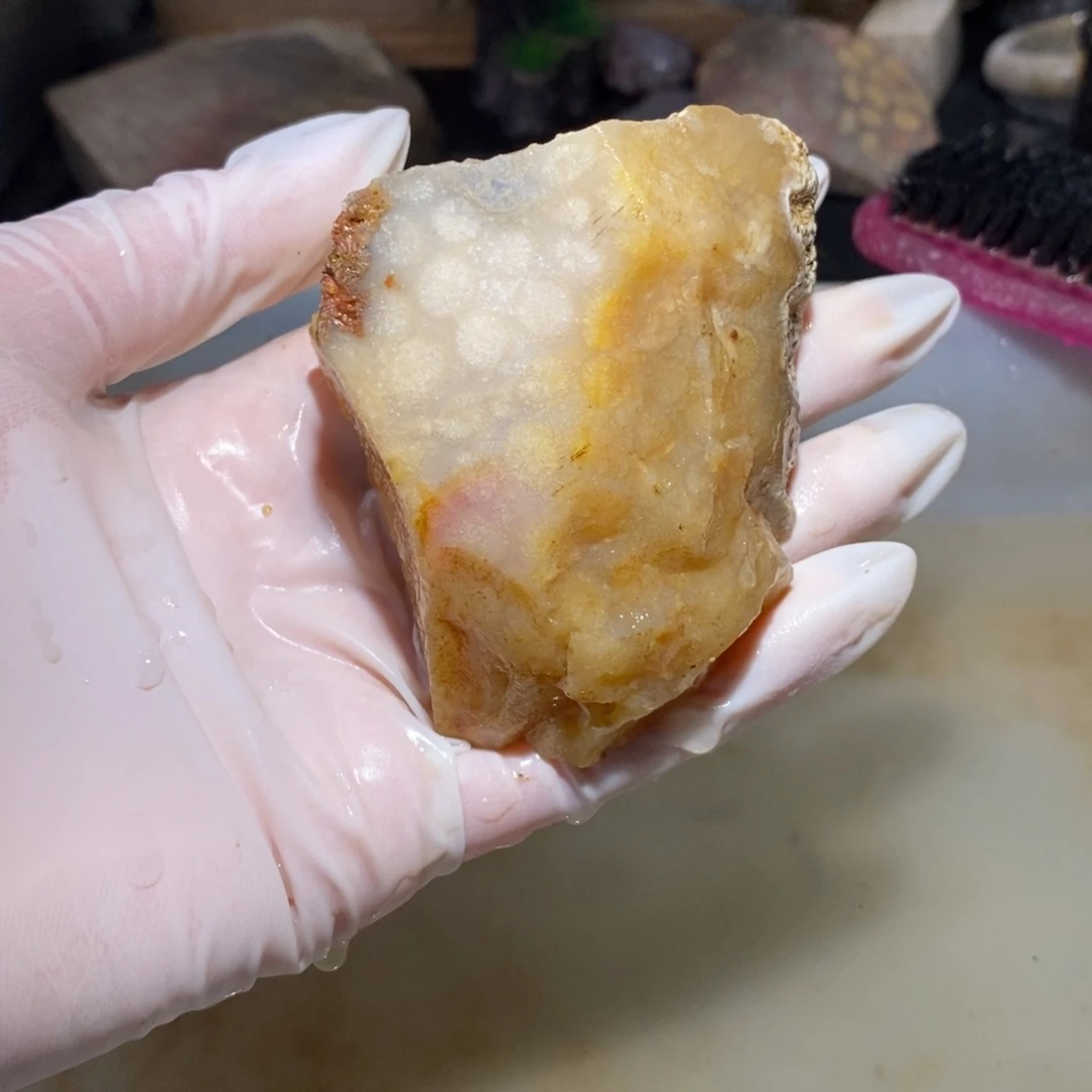 【闪购商品】硅化玉珊瑚玉未镶嵌