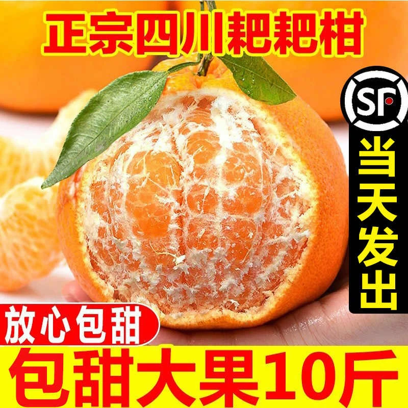 正宗四川春见耙耙柑丑桔子不知火丑橘当季新鲜水果橘子柑橘