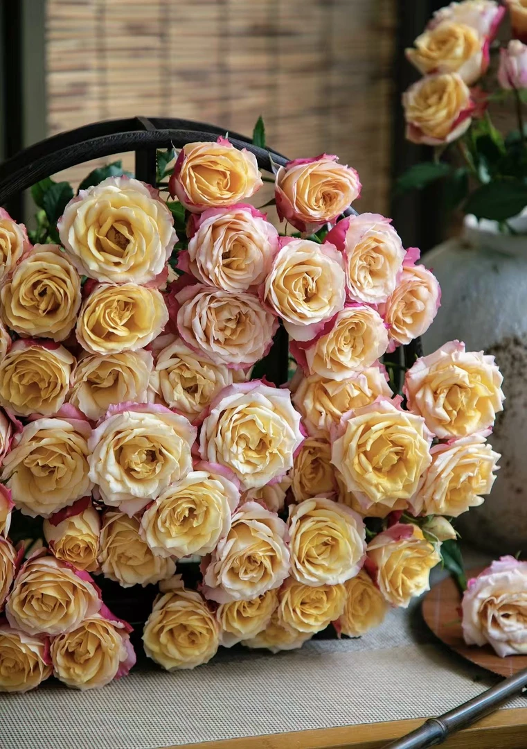 【陌上花开】黄鹂公主-稀有多头玫瑰（收到请带包装醒花）