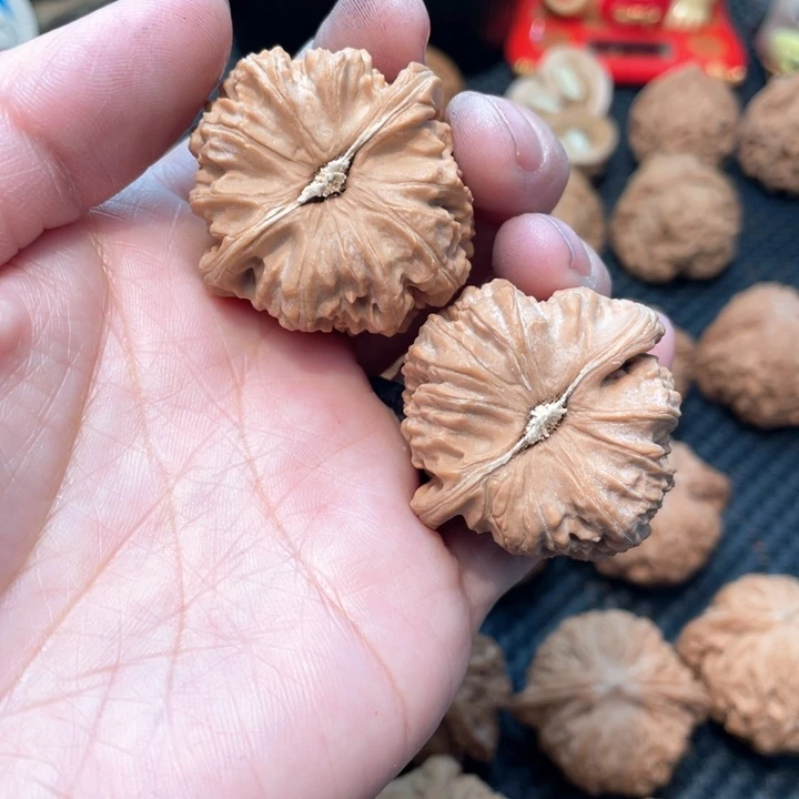 文玩核桃把件南*。白狮子3.8全品