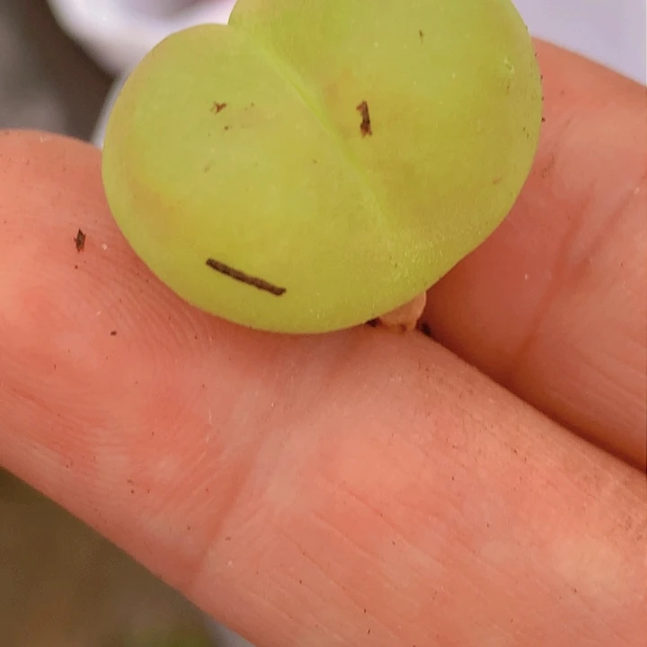 1458888888889888888989986