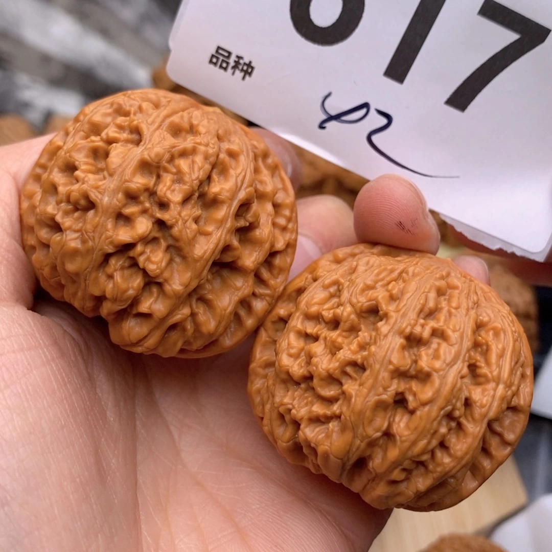 文玩核桃把件617号从42粗筋